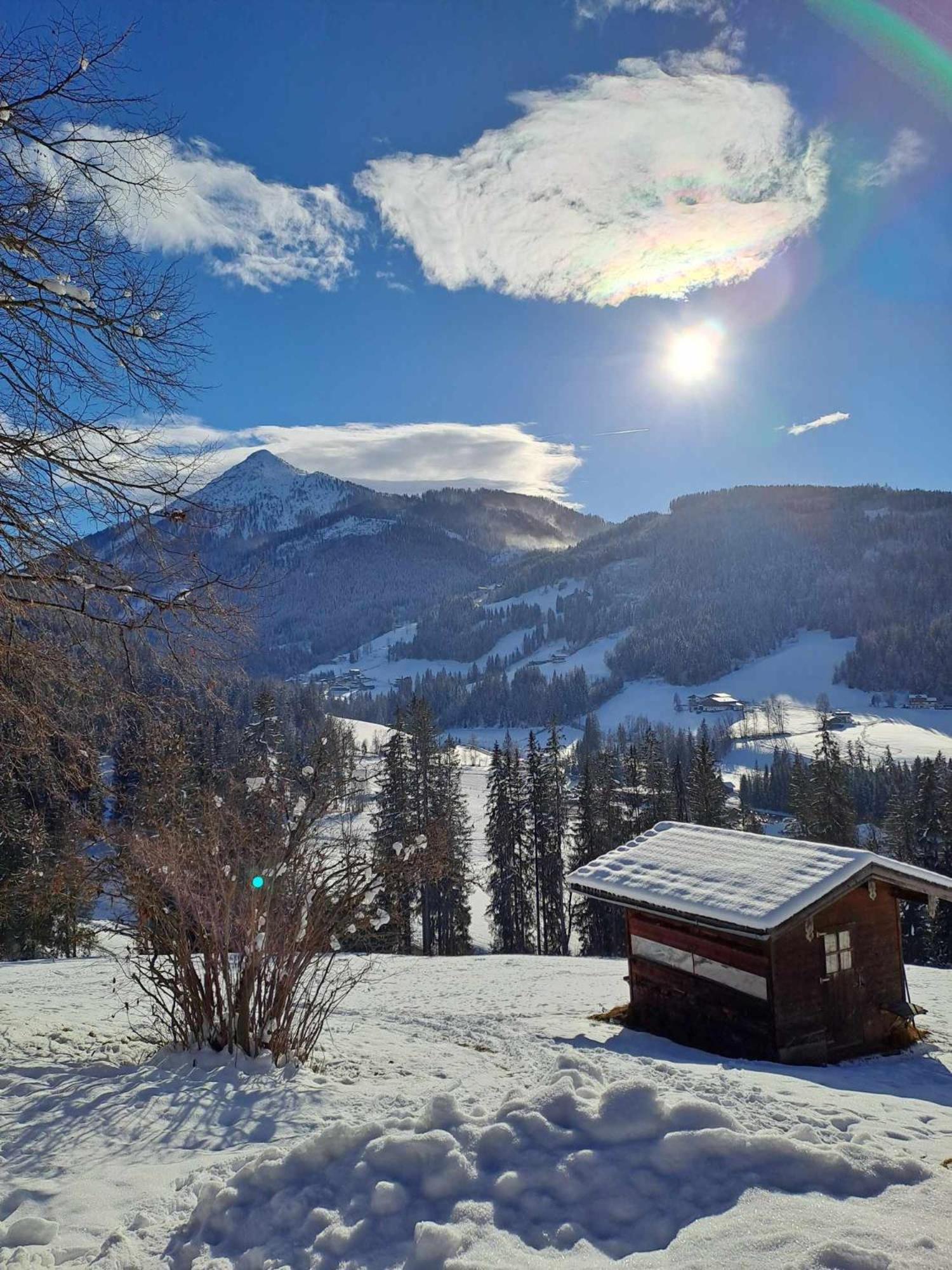 Leitengut Apartment Altenmarkt im Pongau